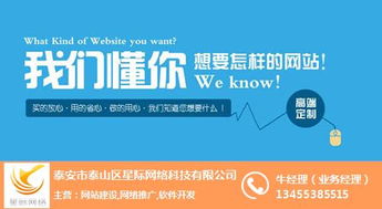 互聯(lián)網(wǎng)營銷與銷售領(lǐng)域中的星際網(wǎng)絡(luò)及其行業(yè)解析